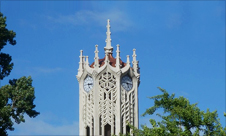 뉴질랜드 No.1 대학교 진학 프로그램