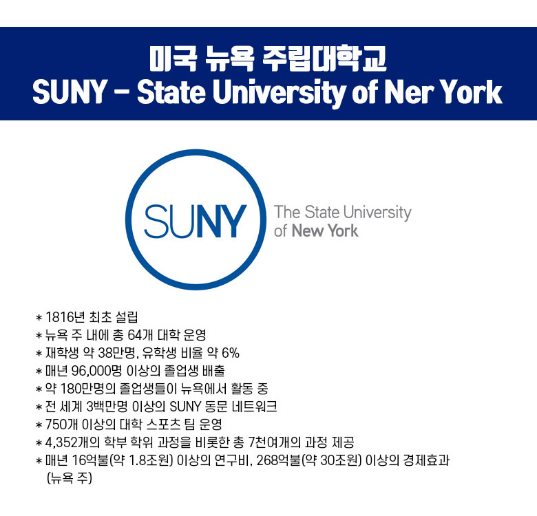 미국 뉴욕 주립대학교 SUNY IPP